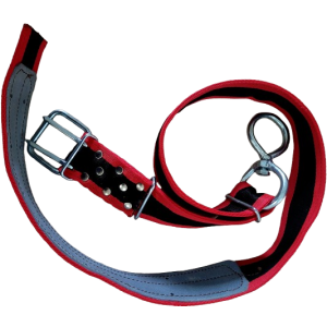 Pas hodowlany     B  wzmocniony